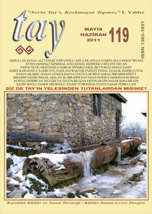 TAY DERGİSİ - SAYI 119