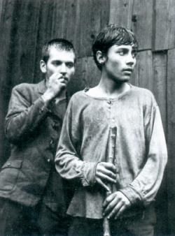 Shine (1996)