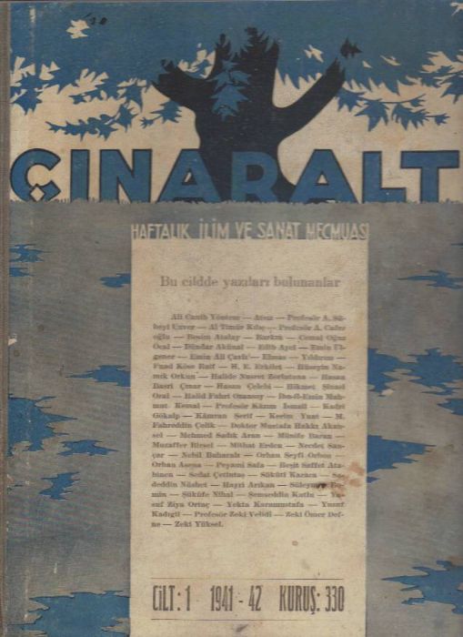ÇINARALTI DERGİSİ