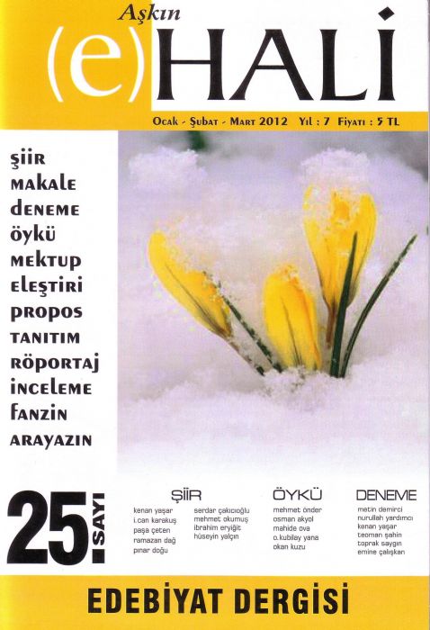 2011 - TÜRKİYE YEREL EDEBİYAT DERGİLERİ ALBÜMÜ