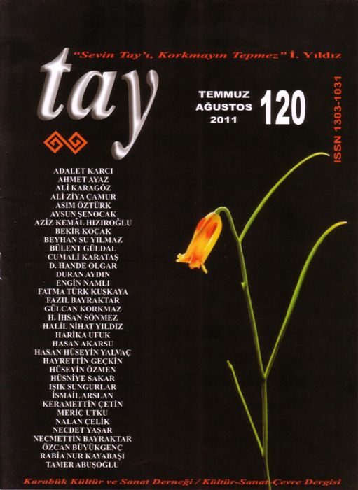 AYDIN EFESİ – SAYI  3- TEMMUZ AĞUSTOS 2011