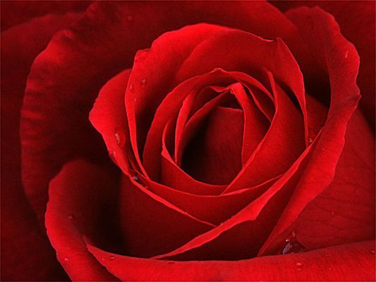 EVRENSEL KÜLTÜR DERGİSİ - ŞUBAT 2012