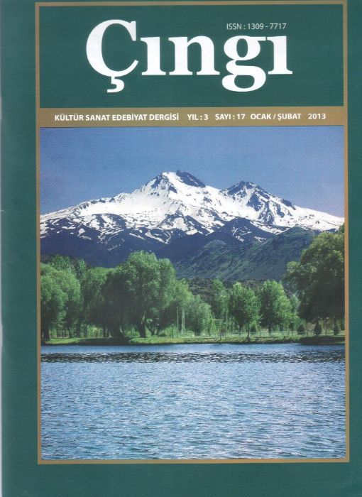 ÇINGI DERGİSİ - SAYI 17 - OCAK ŞUBAT 2013