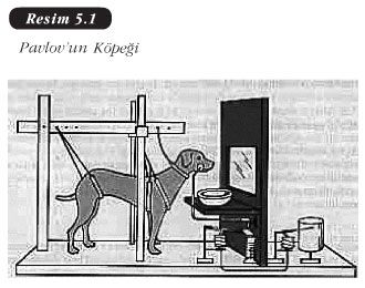YAĞMUR ALTINDA SEVİŞSEK  - SÜHEYLA TAŞÇIER