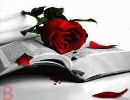 Âşk-ı divâne MEYsin