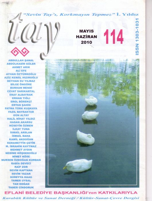 TAY DERGİSİ - MAYIS, HAZİRAN 2010 / SAYI 114