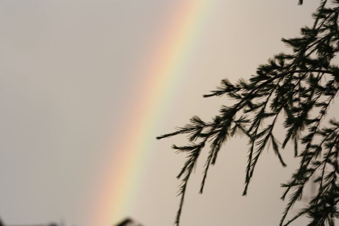 MAKİ KÜLTÜR SANAT EDEBİYAT DERGİSİ - SAYI 80, 81