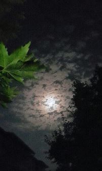 Beşparmak Dergisi - Sayı 191 - Ocak Şubat 2016