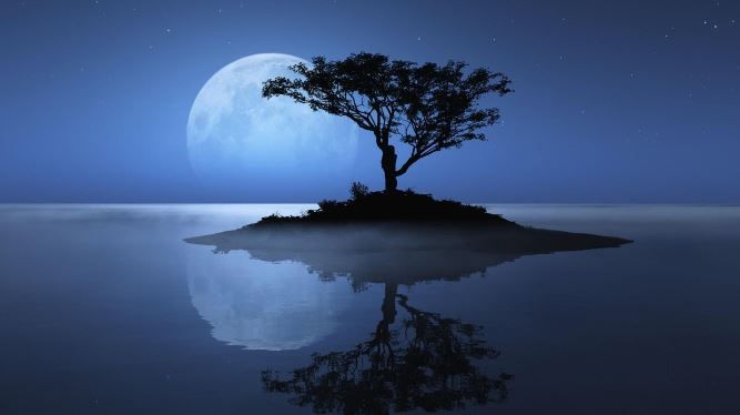 AKŞAMDA ÖLÜR MAVİLER / Şiir: Metin İmer