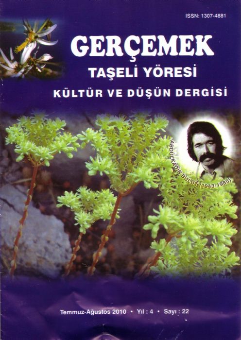 AMANOS YAZILARI DERGİSİ - SAYI 2