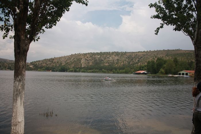 SOCIAL NETWORK - SOSYAL AĞ