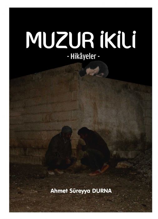 DENEMELER - Ahmet Süreyya DURNA