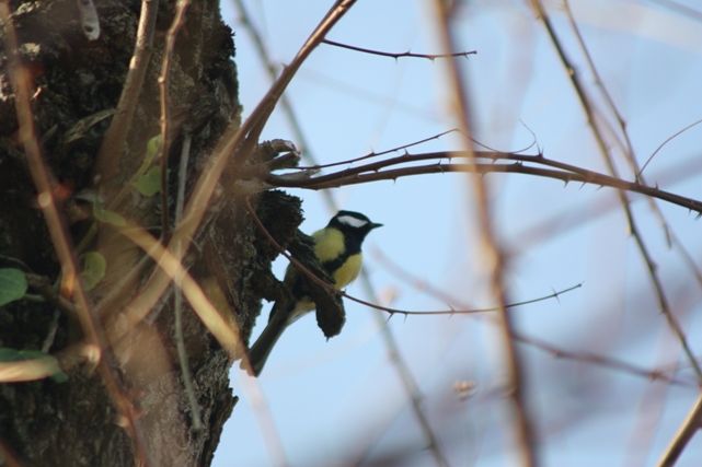 GÜNCEL SANAT DERGİSİ - SAYI 9