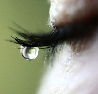 AŞKIN E HALİ DERGİSİ - OCAK ŞUBAT MART 2012