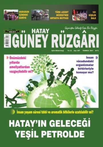 Güney Rüzgarı Dergisi - Sayı 207 - Temmuz 2017