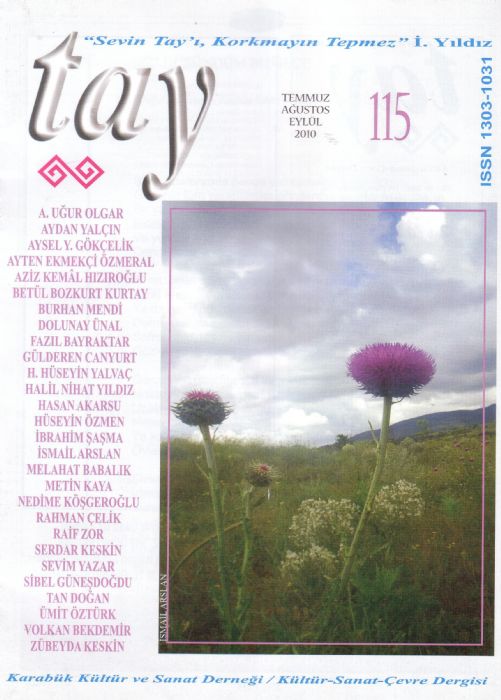 TAY DERGİSİ TEMMUZ AĞUSTOS EYLÜL 2010 SAYI 115