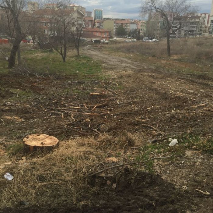 FECR-İ AFAK DERGİSİ - SAYI 5 - KIŞ 2015