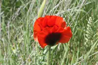 TÜRKİYE İŞÇİ SINIFI TARİHİNDEN - 3