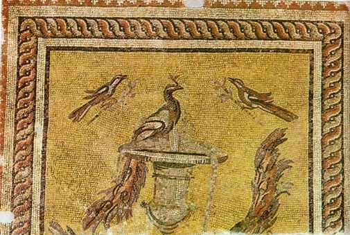 A POOL WITH PEACOCK AND OTHER BIRDS