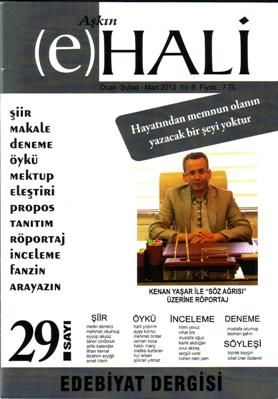 AŞKIN (e) HALİ DERGİSİ – SAYI 29 – OCAK ŞUBAT MART 2013