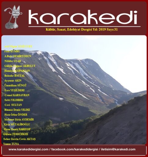 Karakedi Dergisi, Sayı 31
