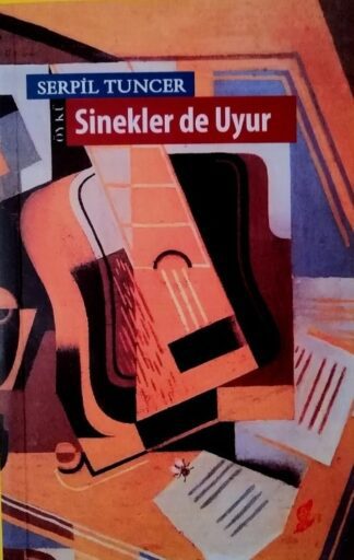 Sinekler de Uyur