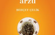 Gün Ortasında Arzu, Behçet Çelik