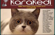 Karakedi Dergisi, Sayı 37