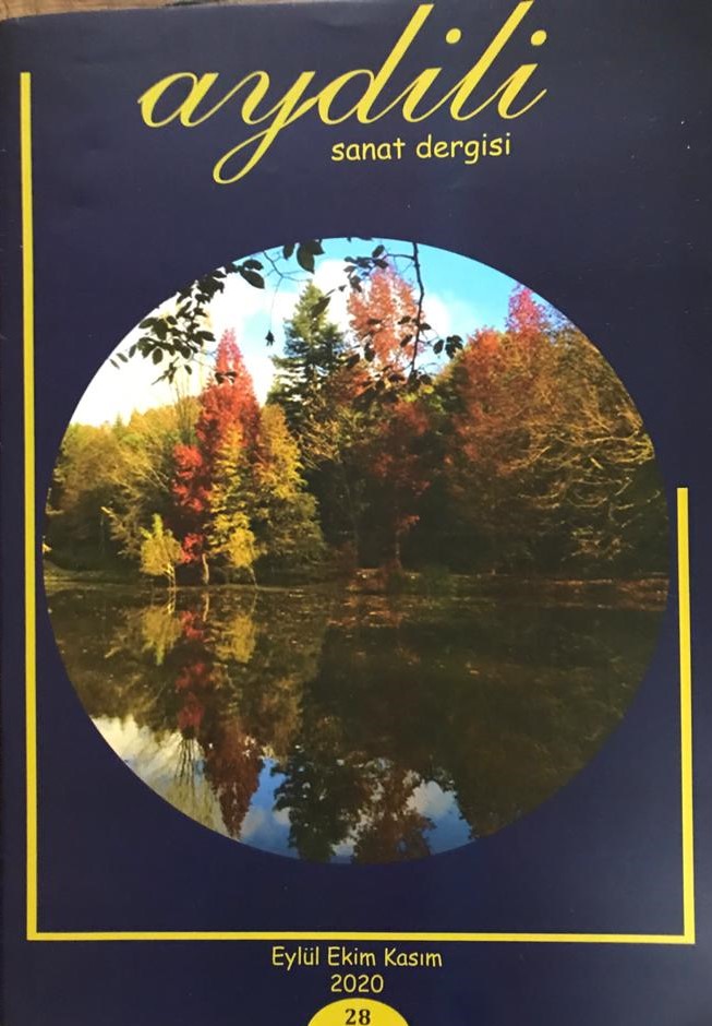 Aydili Sanat Dergisi, Sayı 28