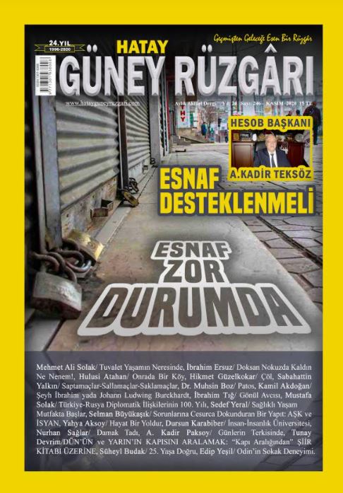 Güney Rüzgarı Dergisi, Sayı 246