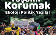 Doğayı, Emeği, Yaşamı Korumak, Beyza Üstün